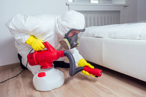 Emergency Pest Control Services in Lewiston, CA